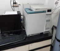 GC (Agilent 6890, FID)